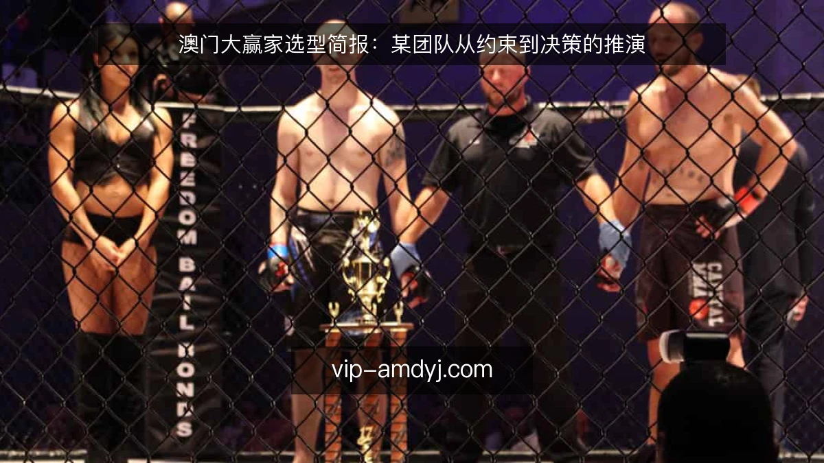 澳门大赢家选型简报:某团队从约束到决策的推演