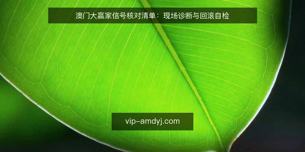 澳门大赢家信号核对清单:现场诊断与回滚自检 — 需要留意的信号特征 配图