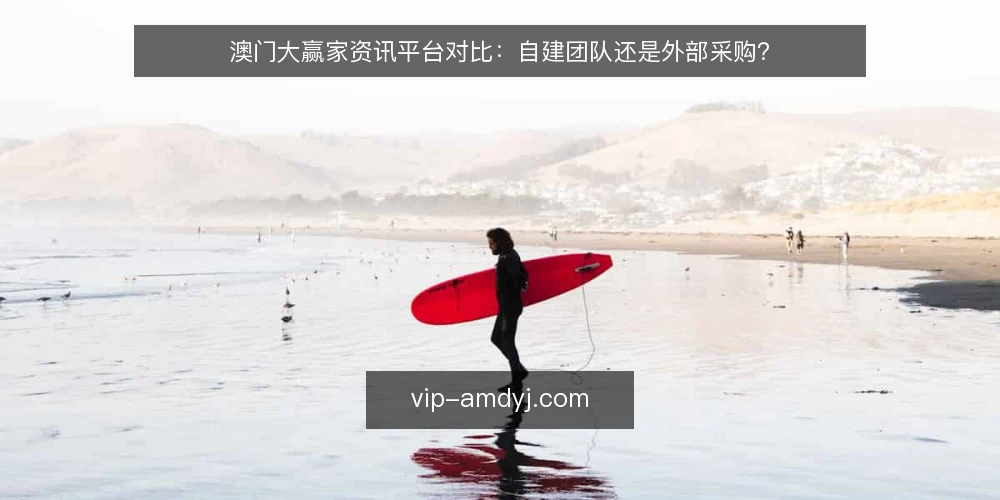 澳门大赢家资讯平台对比:自建团队还是外部采购? — 明确需求边界:自建还是采购的决定性前提 配图