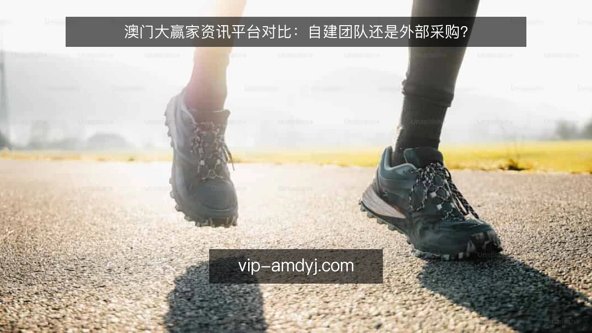 澳门大赢家资讯平台对比:自建团队还是外部采购?