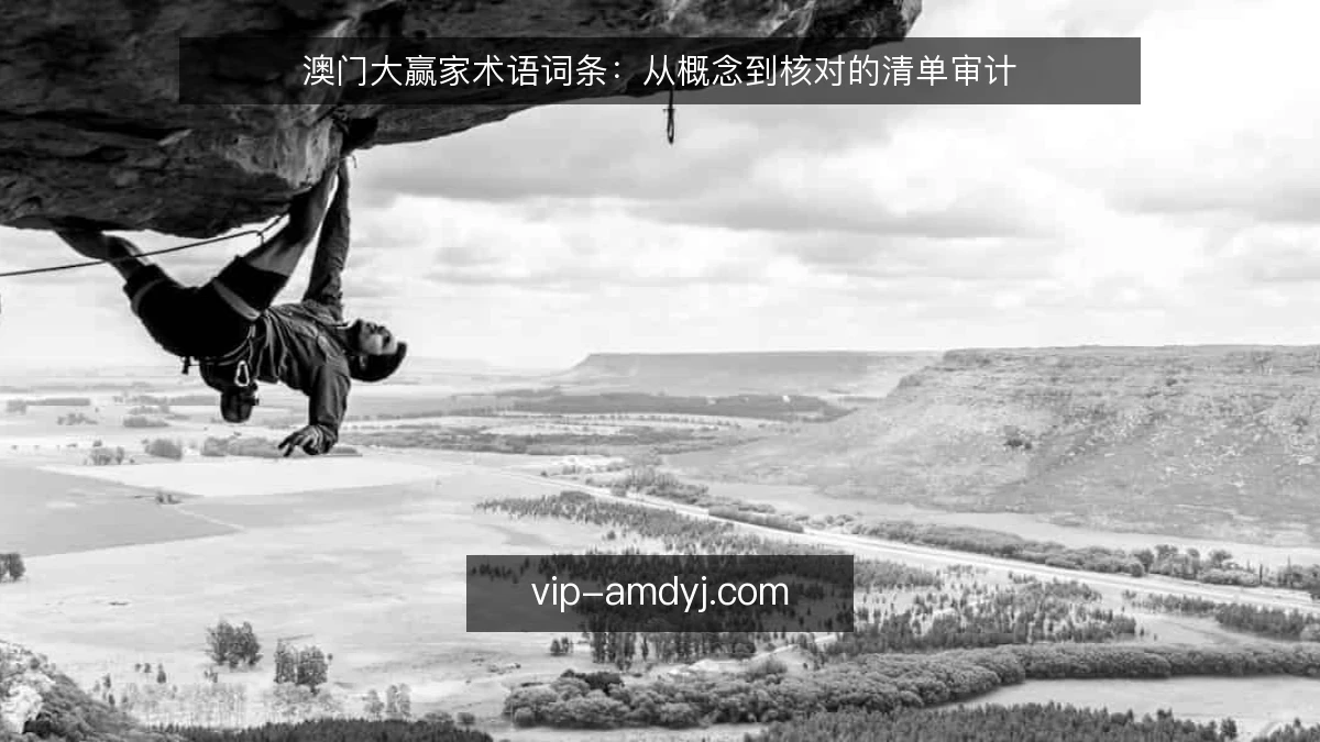 澳门大赢家术语词条:从概念到核对的清单审计