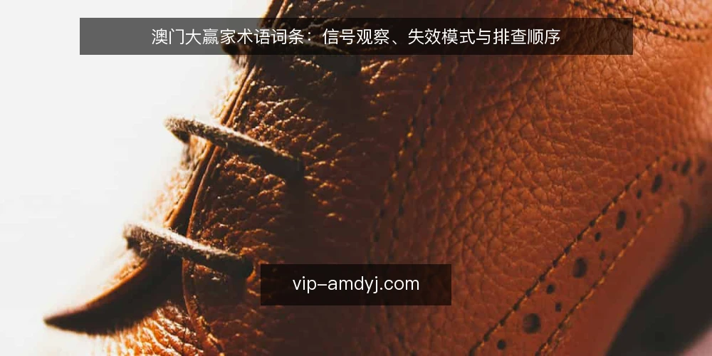 澳门大赢家术语词条:信号观察、失效模式与排查顺序 — 先看哪些信号:澳门大赢家术语观察点 配图